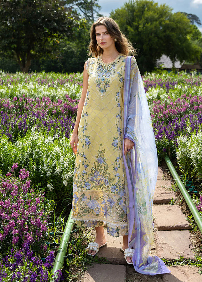 Mushq | The Secret Garden - Sunlit Meadow