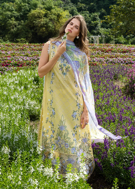 Mushq | The Secret Garden - Sunlit Meadow