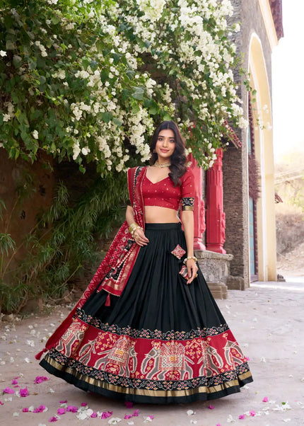Red and Black Embroidered Lehenga Choli