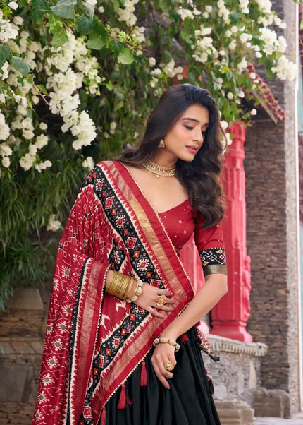 Red and Black Embroidered Lehenga Choli