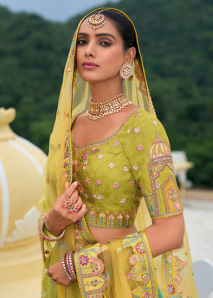 Green Embroidered Lehenga Choli