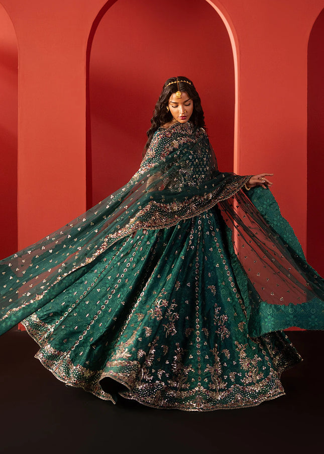 Afrozeh | Divani'25 - Afsar