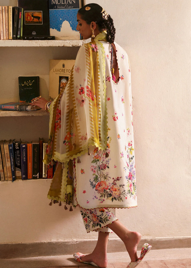 Zaha | Festive'25 - Chandni