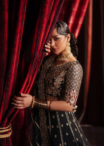 Afrozeh | Divani'25 - Gulraiz