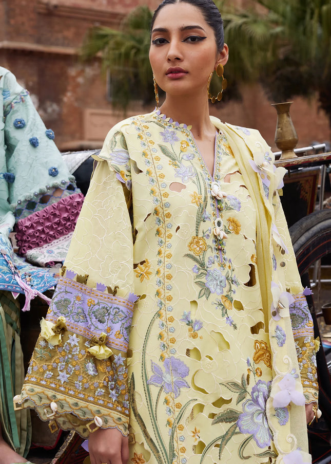 Elan | Lawn 25 - Amara