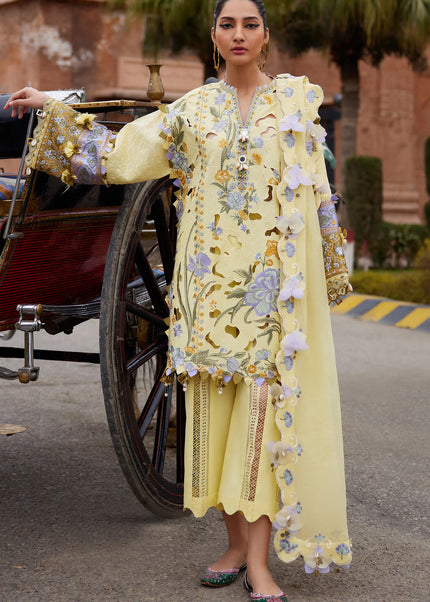 Elan | Lawn 25 - Amara