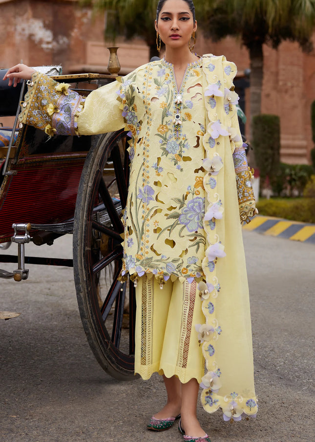 Elan | Lawn 25 - Amara