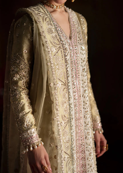 Saad Bin Shahzad | Laavni'25 - Selin