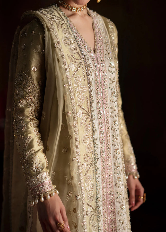 Saad Bin Shahzad | Laavni'25 - Selin