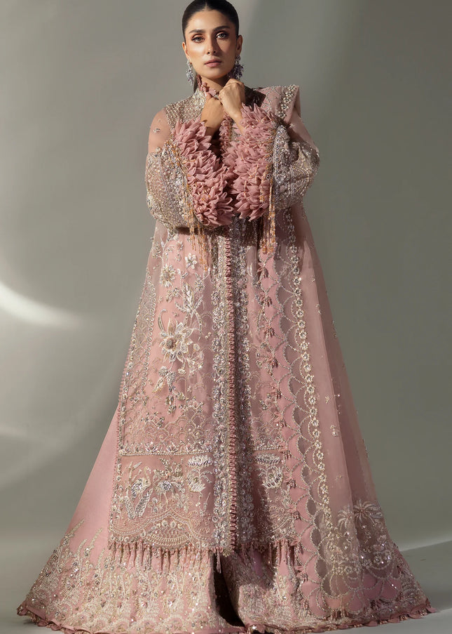 Elan | Wedding Festive '24 - Celestial Petals
