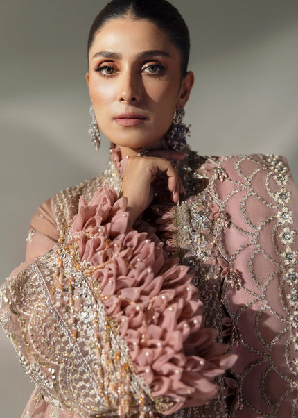 Elan | Wedding Festive '24 - Celestial Petals