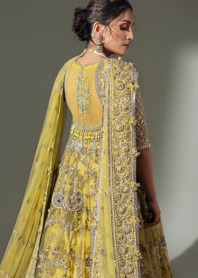 Elan | Wedding Festive '24 - Lime Blossom