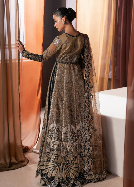 Afrozeh | Hayat '25 - Rayyan