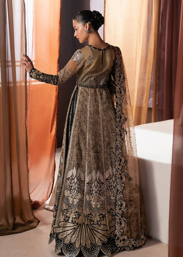 Afrozeh | Hayat '25 - Rayyan