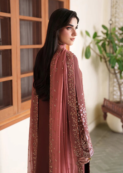 Roheenaz | Mah E Noor - Zarnish