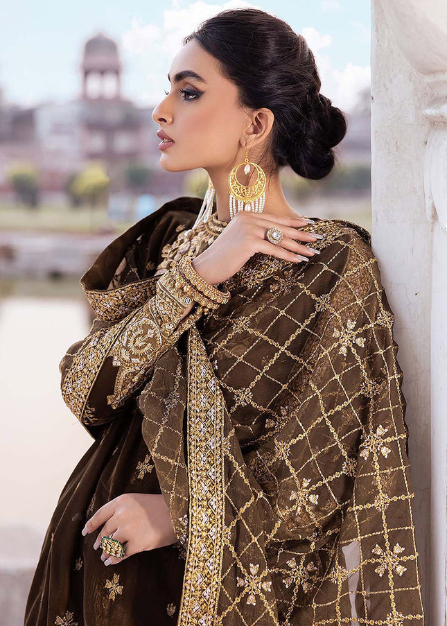AIK - Baagh Luxury Velvet Collection 22