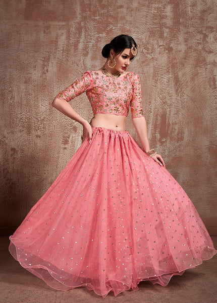 Pink and Light Blue Embroidered Lehenga