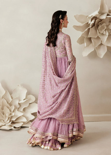 AIK | Shaam - LOOK - 01