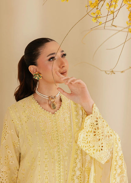 Aik Atelier | Lawn '26 Vol 2 - Look B2604A