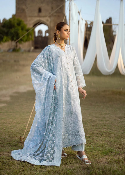 Aik Atelier | Pardes - Lawn 24 Vol 1- Look 05