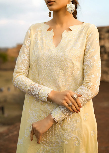 Aik Atelier | Pardes - Lawn 24 Vol 1- Look 06