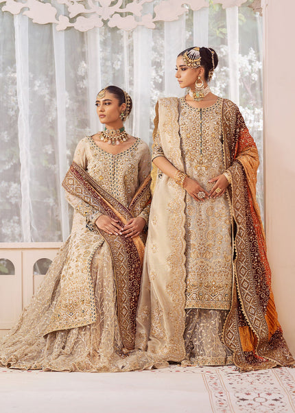 AIK | Wedding Festive Collection 24 Vol 2 - LOOK - 01