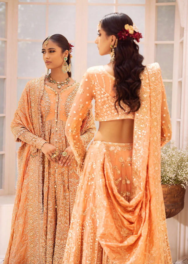 AIK | Wedding Festive Collection 24 Vol 2 - LOOK - 06