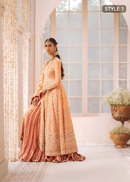 AIK | Wedding Festive Collection 24 Vol 2 - LOOK - 06