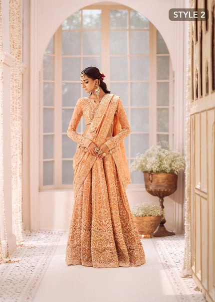 AIK | Wedding Festive Collection 24 Vol 2 - LOOK - 06