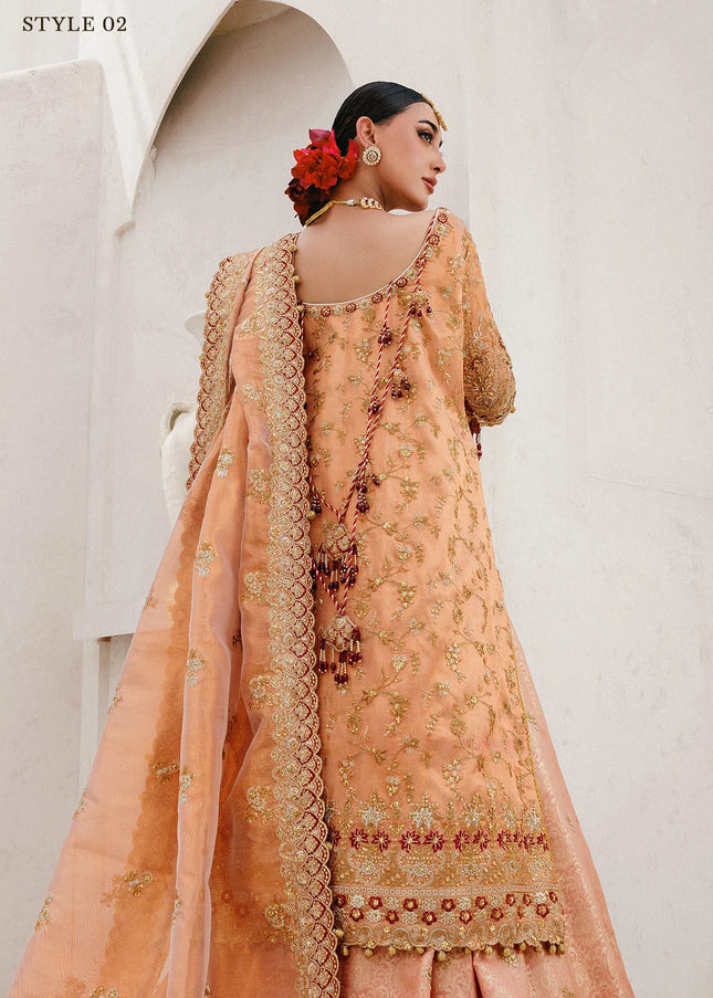AIK | Wedding Festive Collection 25 Vol 2 - LOOK - 02