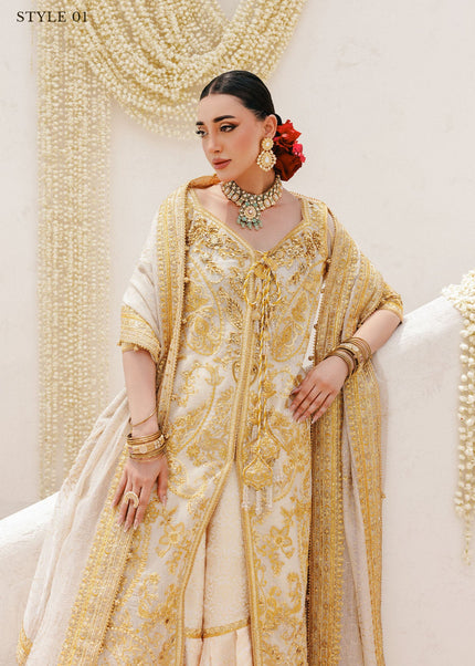 AIK | Wedding Festive Collection 25 Vol 2 - LOOK - 03