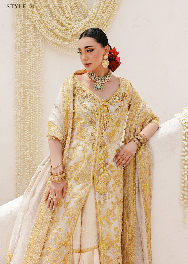 AIK | Wedding Festive Collection 25 Vol 2 - LOOK - 03