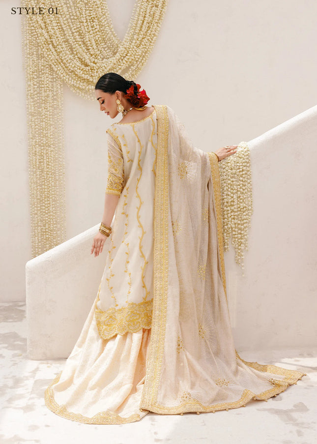 AIK | Wedding Festive Collection 25 Vol 2 - LOOK - 03