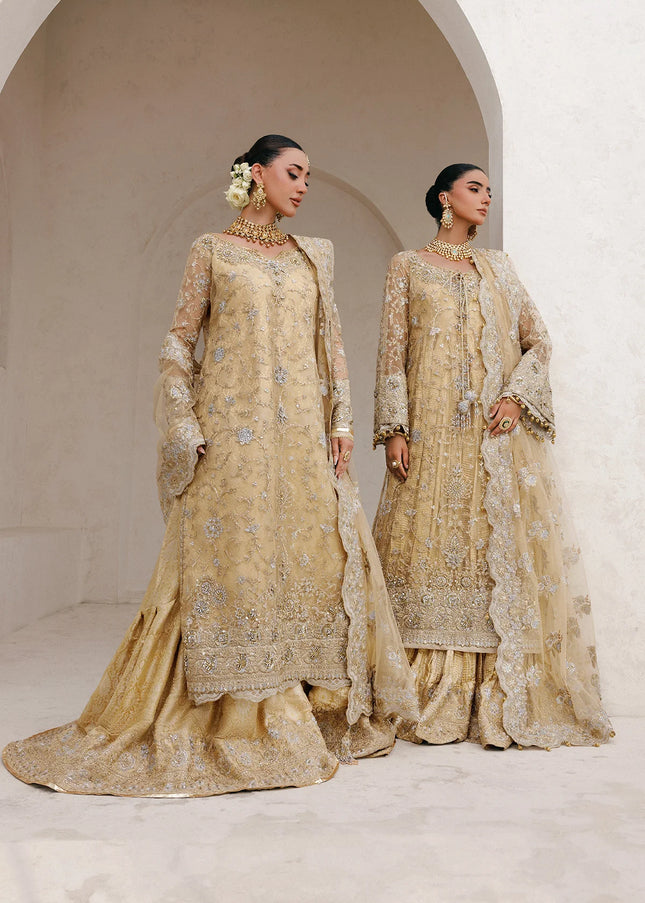 AIK | Wedding Festive Collection 25 Vol 2 - LOOK - 06