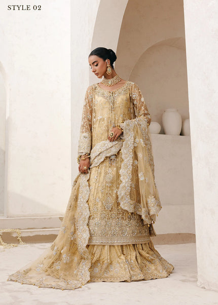 AIK | Wedding Festive Collection 25 Vol 2 - LOOK - 06