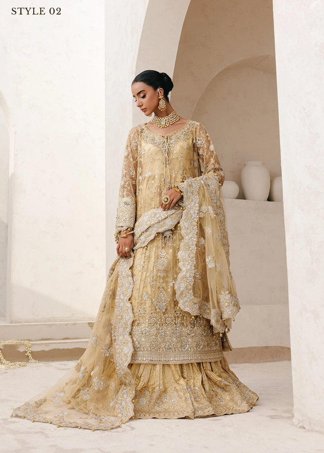 AIK | Wedding Festive Collection 25 Vol 2 - LOOK - 06