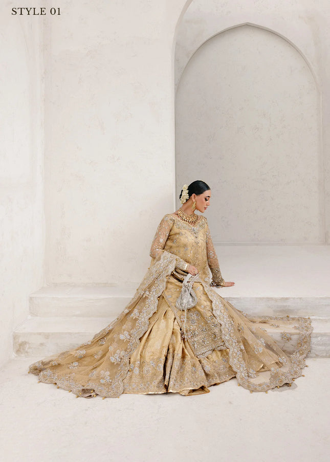 AIK | Wedding Festive Collection 25 Vol 2 - LOOK - 06