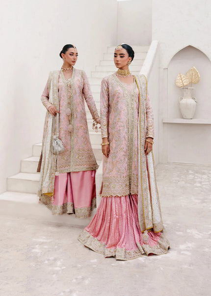 AIK | Wedding Festive Collection 25 Vol 2 - LOOK - 07