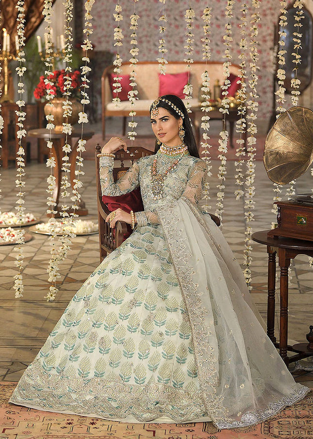 ASIM JOFA - Rasm Collection