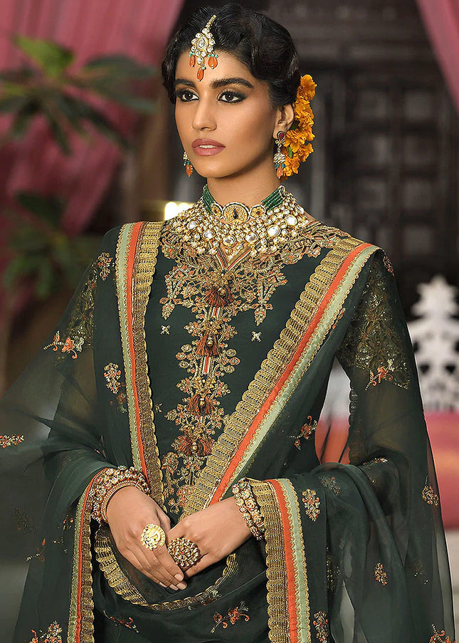 ASIM JOFA - Rasm Collection