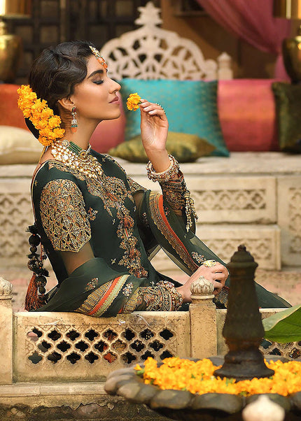 ASIM JOFA - Rasm Collection