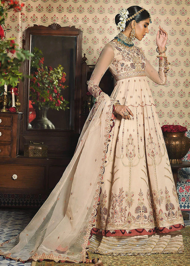 ASIM JOFA - Rasm Collection