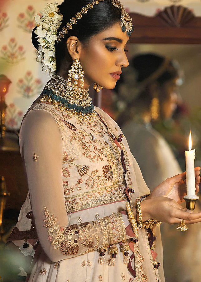 ASIM JOFA - Rasm Collection