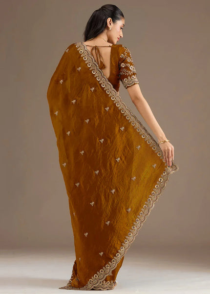 Tissue Embroidered Saree Series