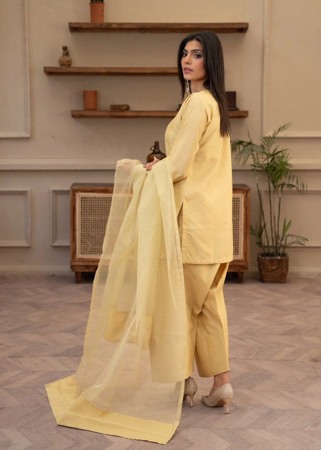 Farshi Shalwar Suit | MO-FS003