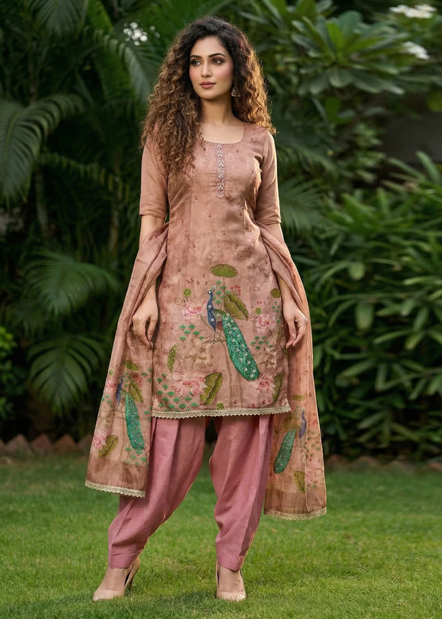 Silk Embroidered Punjabi Suit Series