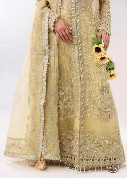 Sardinia | L'amore'25 - Amber haze