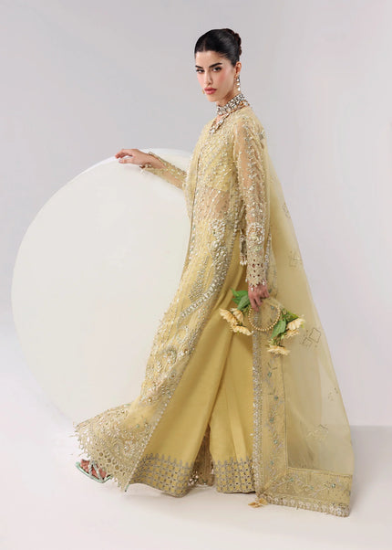 Sardinia | L'amore'25 - Amber haze