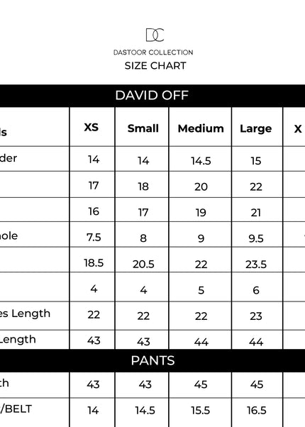 Dastoor | Leia Luxury Pret ’26 - David Off