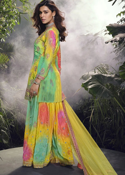 Multicolor Embroidered Sharara Suit